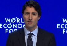 'Trudeau effect' restores trust in business, media: report