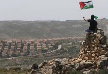 The politics of an accident in the Occupied Palestinian Territories