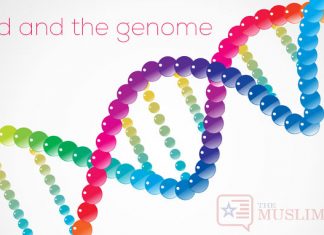 God and the genome: As scientists cross new frontiers, a geneticist seeks allies among the faithful