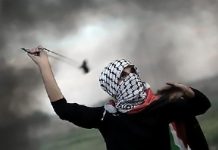 Palestinian stone thrower shot dead by Israeli troops