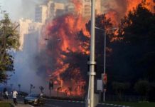 Israel: Tens of thousands flee Haifa wildfires