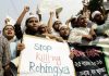 Rohingya in Rakhine state suffer government retaliation