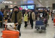 Trump ban hits travel to the United States