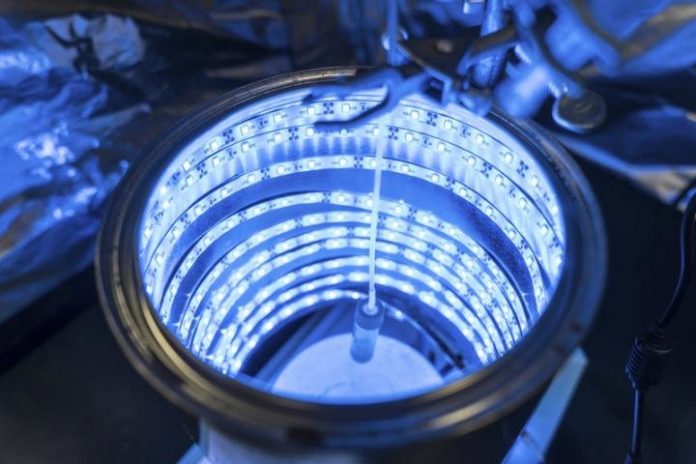 New, cheap artificial photosynthesis scrubs the air and produces fuel