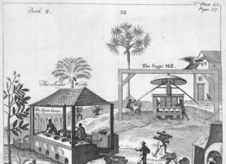 The hidden stories of medical experimentation on Caribbean slave plantations